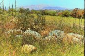 Ancient rock wall in Wright's Field built by Kumeyaay as seen from Stagecoach Trail